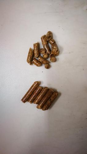 Parmetro tipo pellet-img_20180112_105609.jpg