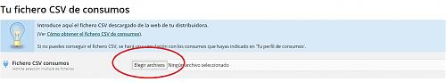 IDE IBERDROLA-csv.jpg