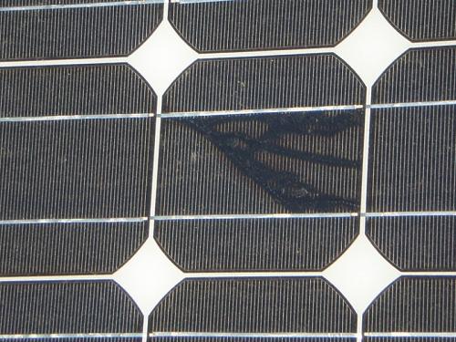 Manchas en celulas solares-p8180050-.jpg