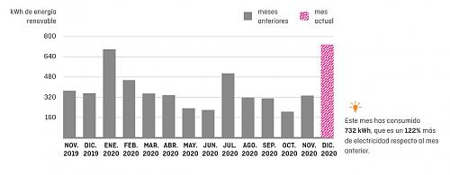 Instalacin 3kw - y bateria 2,4kwh INFO-consumo-meses-2020.jpg