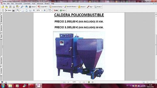 Que os parece esta Caldera de biomasa con acs-caldera-policombustible.jpg