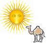 Avatar de camels